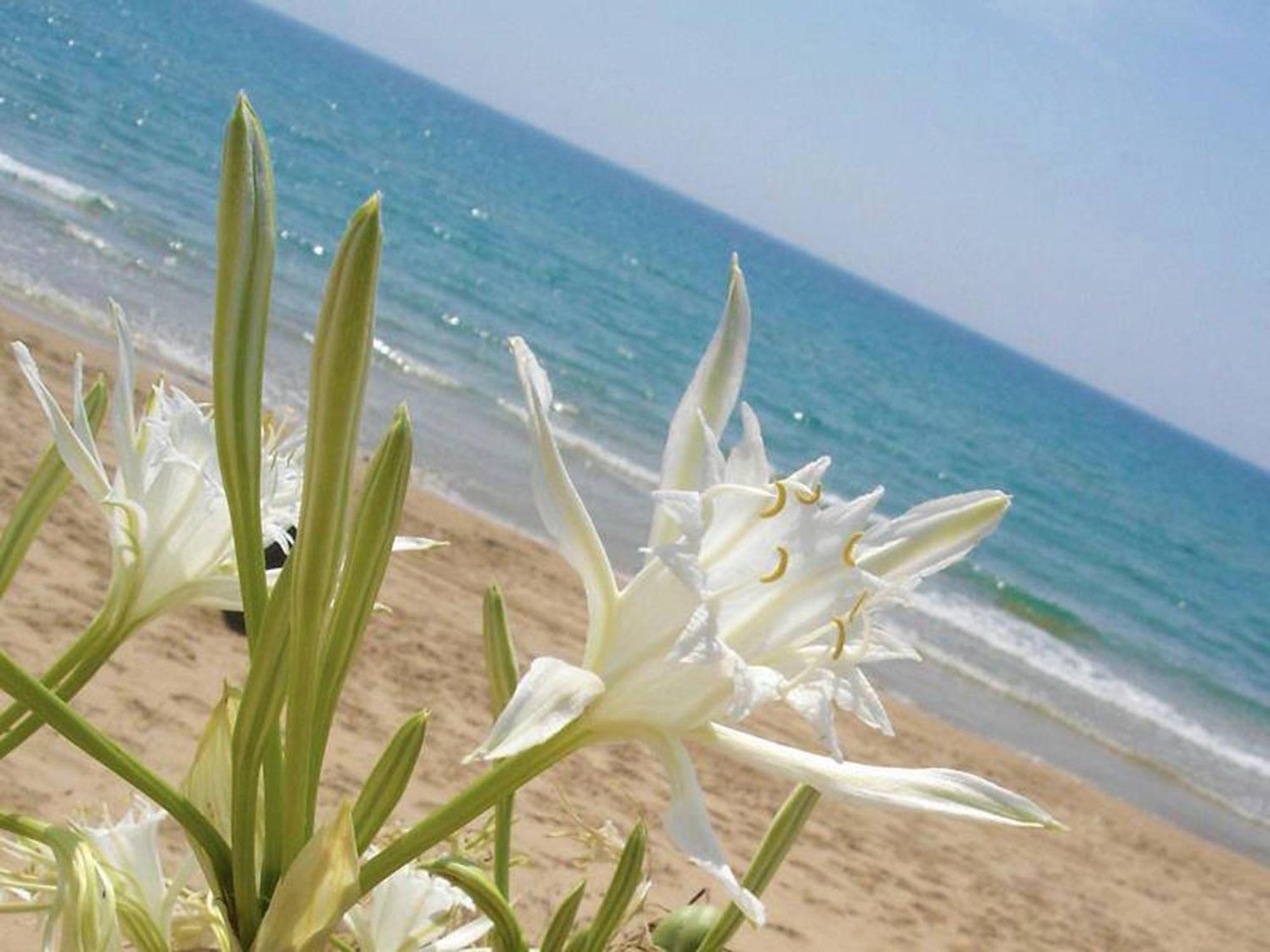 B&B Armenes Capo Rizzuto Esterno foto